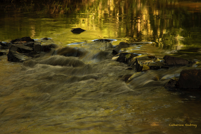 Photo de l'exposition